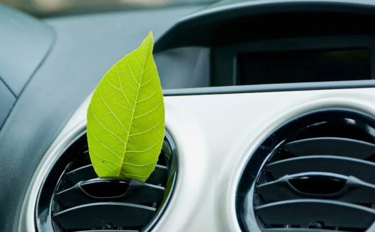 ТОП-7 лайфхаков для поддержания свежести в салоне